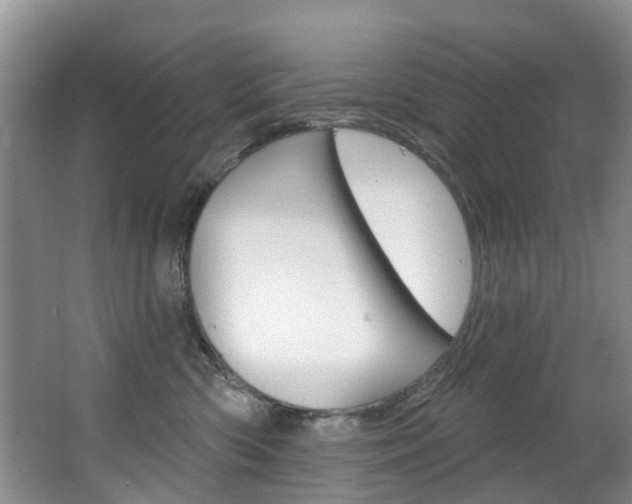 X0000063530426200601201156