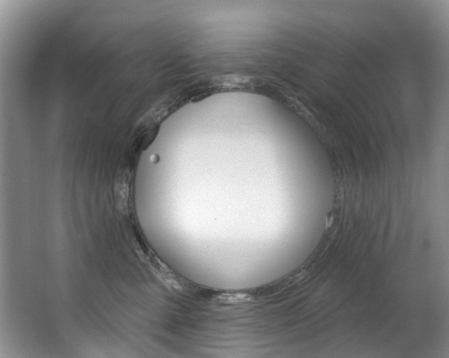 X0000063530427200601201156