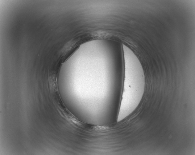 X0000063530429200601201156