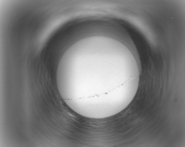 X0000063530431200601201156