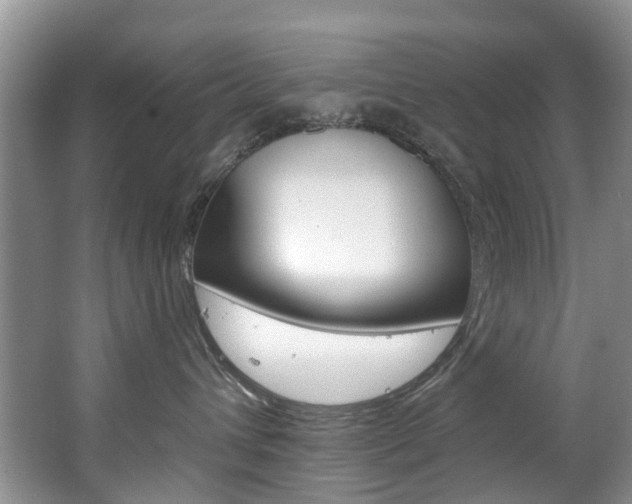 X0000063530432200601201156