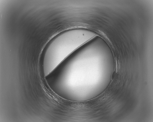 X0000063530435200601201156
