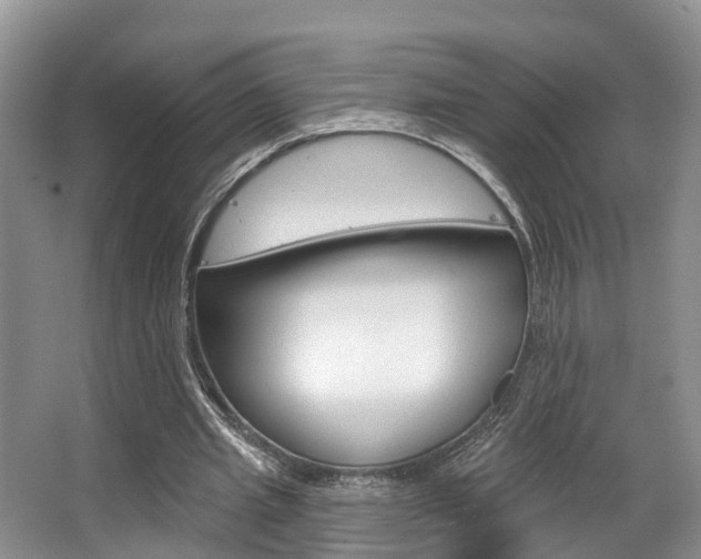 X0000063530437200601201156
