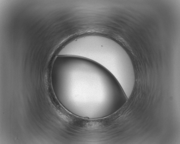 X0000063530444200601201156