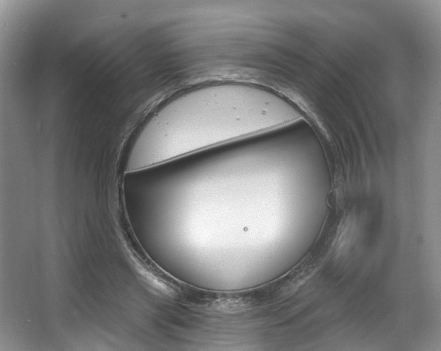X0000063530445200601201156