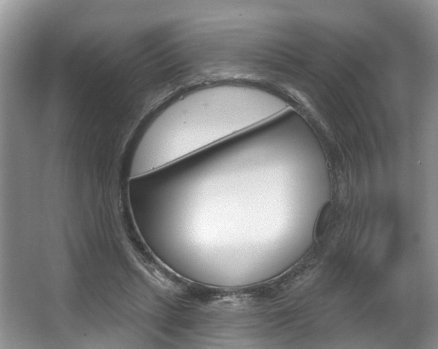 X0000063530447200601201156