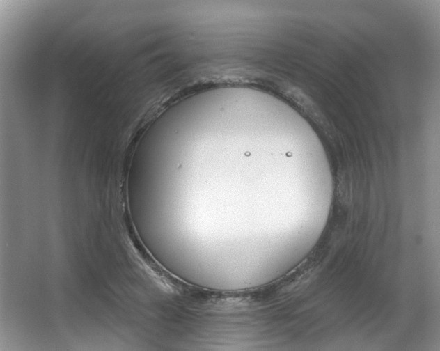 X0000063530449200601201156