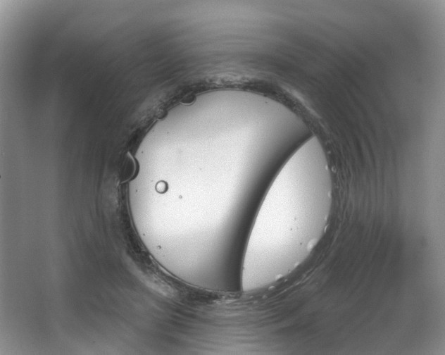 X0000063530451200601201156