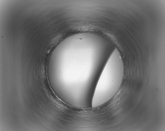 X0000063530453200601201156