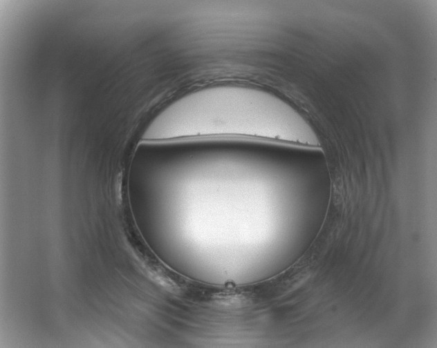 X0000063530454200601201156