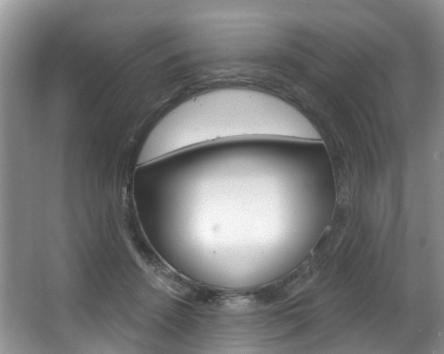 X0000063530456200601201156