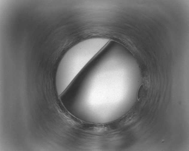 X0000063530458200601201156