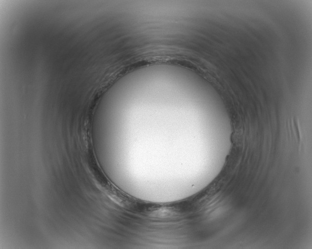 X0000063530460200601201156