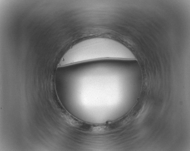 X0000063530461200601201156