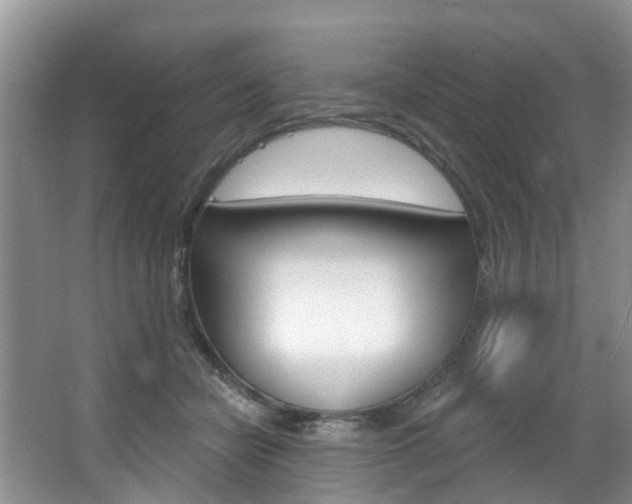 X0000063530462200601201156