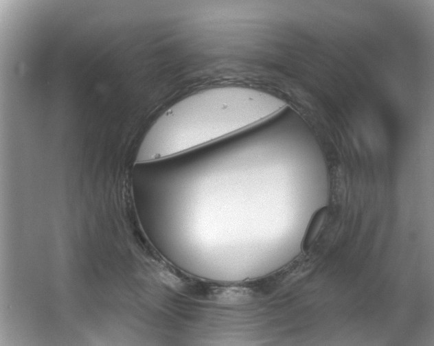 X0000063530463200601201156