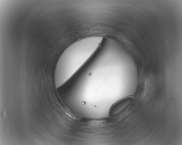 X0000063530465200601201156
