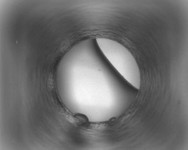 X0000063530469200601201156