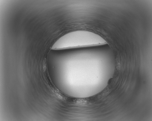 X0000063530471200601201156