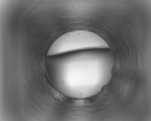 X0000063530473200601201156
