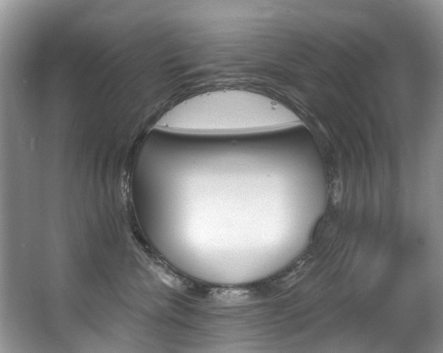 X0000063530476200601201156
