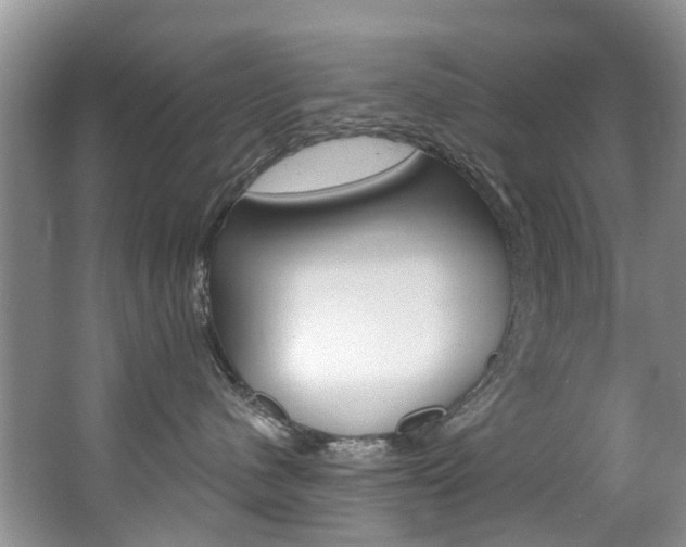 X0000063530480200601201156