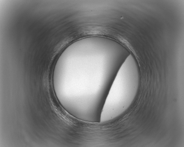 X0000063530482200601201155