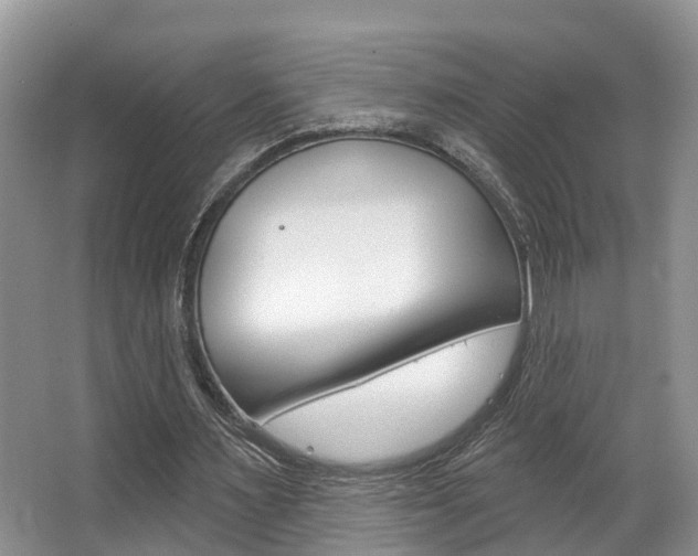 X0000063530483200601201155