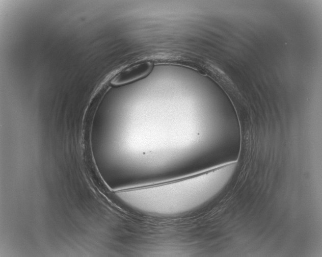 X0000063530484200601201155