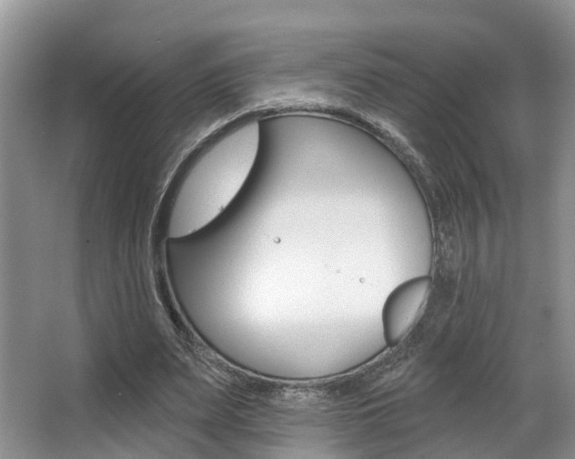 X0000063530487200601201155