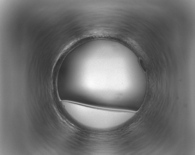 X0000063530488200601201155