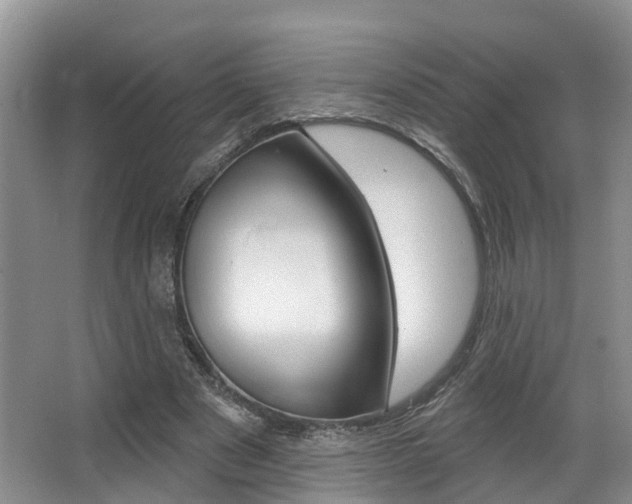 X0000063530489200601201155