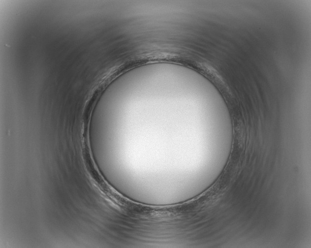 X0000063530490200601201155