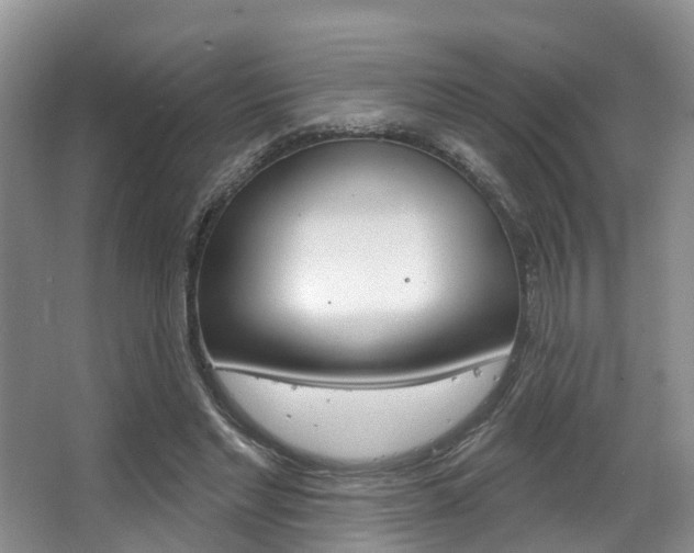 X0000063530493200601201155