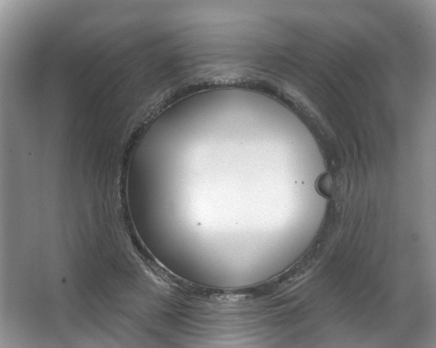 X0000063530497200601201155