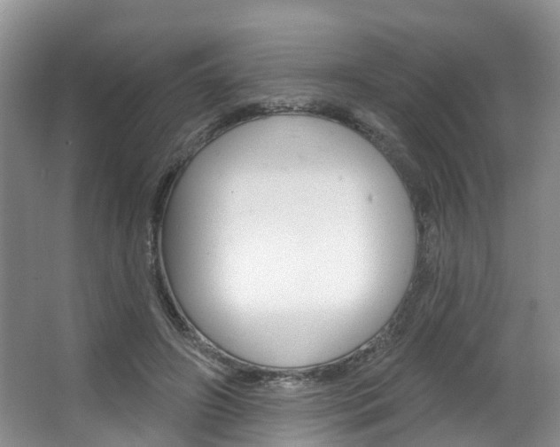 X0000063530498200601201155