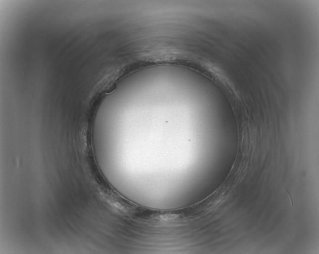 X0000063530501200601201155