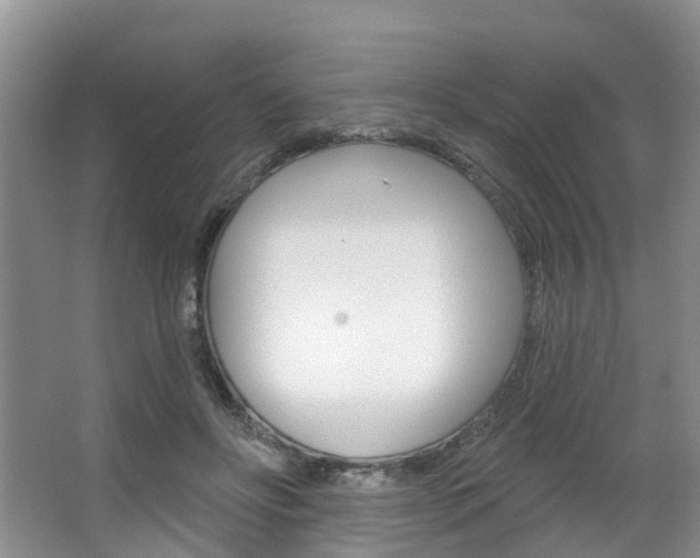 X0000063530502200601201155