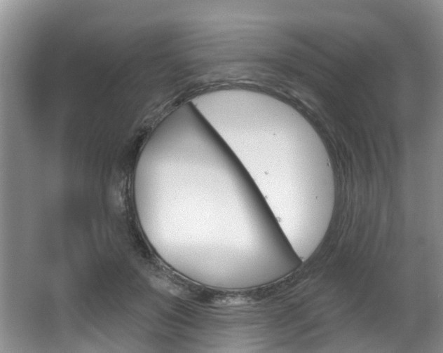 X0000063530503200601201155