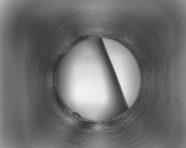X0000063530504200601201155
