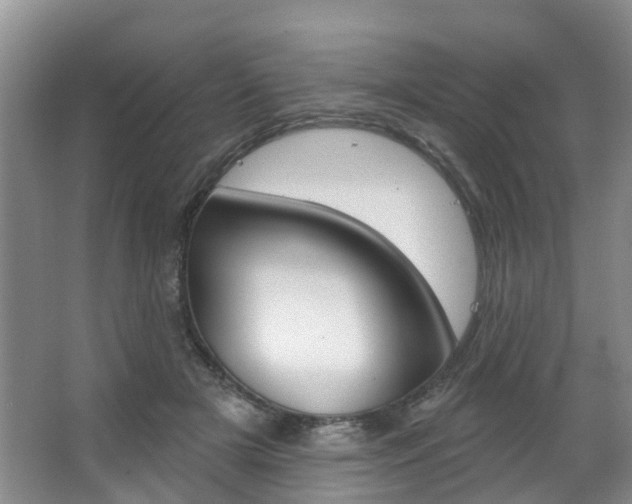 X0000063530505200601201155