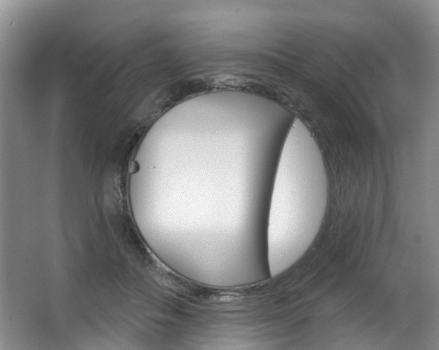 X0000063530506200601201155
