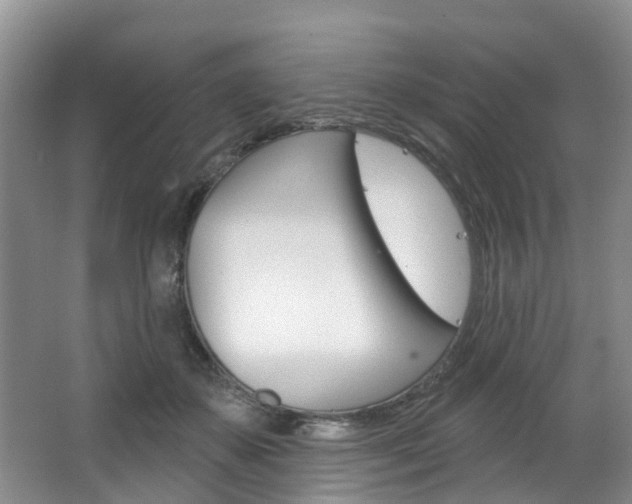 X0000063530507200601201155