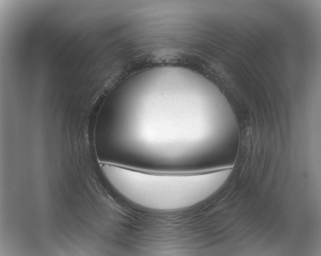 X0000063530508200601201155