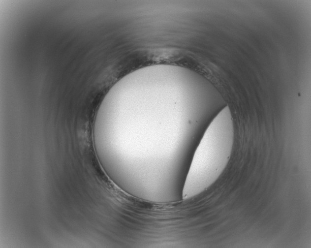 X0000063530510200601201155