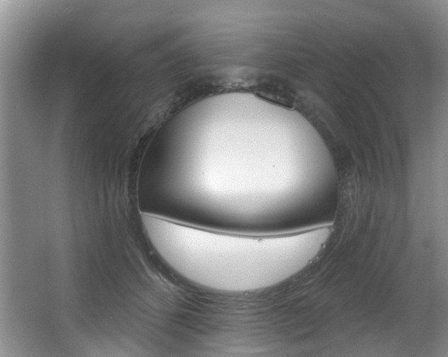 X0000063530512200601201155