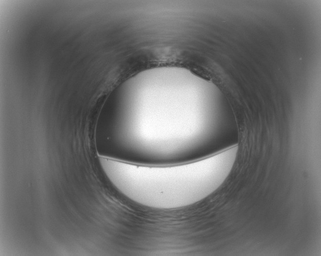 X0000063530516200601201155