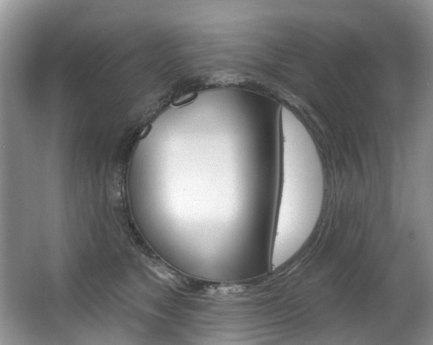 X0000063530517200601201155