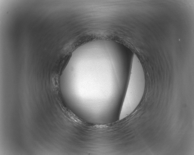 X0000063530528200601201155