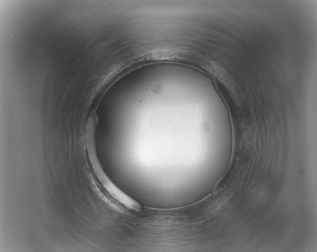 X0000063530530200601201154